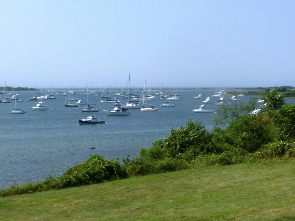 View of The Great Salt Pond